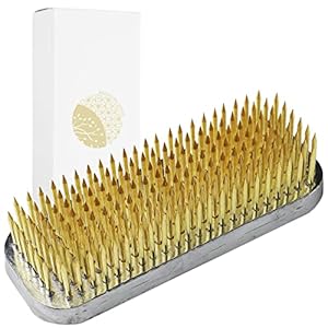 Wazakura Rechteck Kenzan Blumenigel für Ikebana