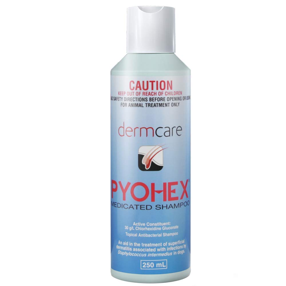 DermcarePyohex Shampoo 250 ML