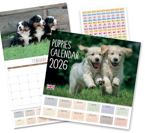 2026 A4 Puppies Calendar. One Month to View. A3 when open. Dogs Wall Calendar by Absolutely Yours.