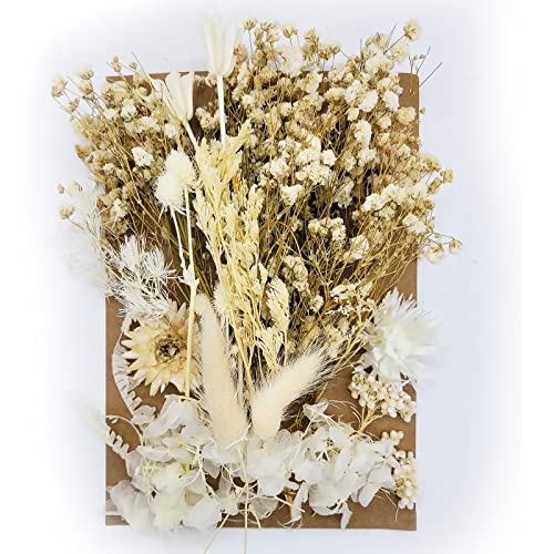 Natürliche Getrocknete Blumen,Trockenblumen Set,DIY Gepresste Blumen,Echte Getrocknete Gepresste Blumen,Trockenblumen Resin,Getrocknete Blumen für Kunst DIY Harz Scrapbooking Handwerk Karten Machen Cover