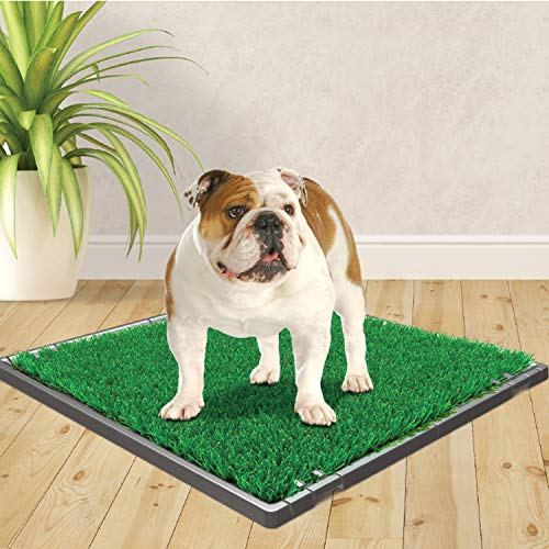 Four Paws Wee-Wee Premium Patch Dog Grass Replacement, 19" x 29" by Four Paws - Used condition - Image 4