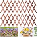 HolyMaji 2 Pack Expandable Wooden Lattice Fence, Garden Trellis for Climbing Outdoor Plants, Stretchable Panel Wall Trellis Vertical Rack Wood Frame Patio Decorative for Vine Ivy Rose