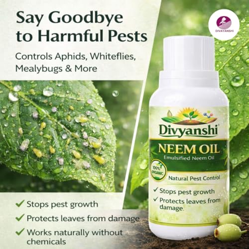 Image of Divayanshi Neem Oil for Plants | 100% Organic Cold Pressed Concentrate | Natural Insecticide & Pest Control Spray for Indoor & Outdoor Plants | Controls Aphids, Mealybugs & Fungal Issues-100ml