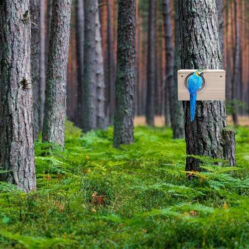 Nichoir suspendu contre les intempéries pour petits oiseaux - 5