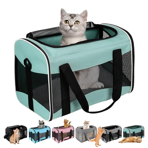 Cat Carrying Case Pet Dog Carrier Soft-Sided Cat Bag Airline Approved, Pet Travel Carrier Up to 15 Lbs, Collapsible Cats Carrier Dog Carrier for Medium Small Cats Dogs(17x11x11 Green)