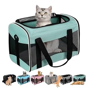 Cat Dog Carriers Soft-Sided Pet Carrier Large Cats for Medium Big Cat Small Dog Puppy up to 16lbs TSA Airline Approved Animal Collapsible Cat Carrier Carriers Travel Carrier Cat Bag (17x11x11)