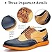 Meijiana Men's Oxford Shoes Dress Shoes Men's Lightweight lace-up Fashion Shoes, Multicoloured-02, 13 US