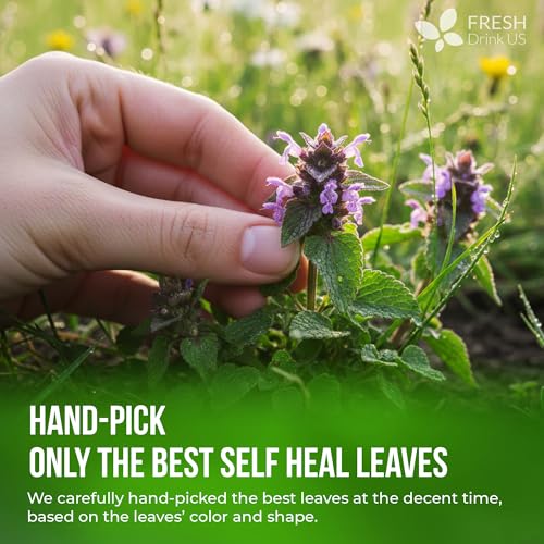 Image of FreshDrinkUS, Premium Self Heal Leaves Tea | 75 Tea Bags | Premium Dried Self Heal Herb for Herbal Tea - Naturally Caffeine-Free, Clean & Convenient Tea Bags. Sugar-Free. Vegan