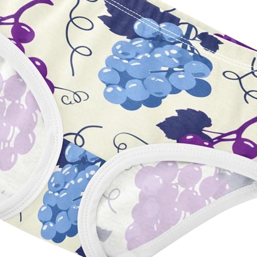 Cotton Girls Underwear Toddler Blue Purple Grape Beige Girl Panties Cute Flower Briefs Underpants 2t4