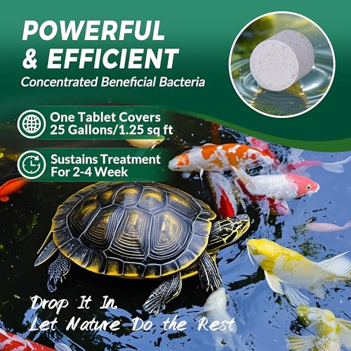 Image of Muck Clear - Natural Pond Sludge Treatment, 4 LB for Ponds, Fountains & Bird Baths, Beneficial Bacteria & Enzymes, Chemical-Free & Safe for Fish, Pets & Wildlife