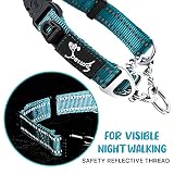 PETTOM Hundehalsband, Zugstopp Halsband Hunde mit Sicherheitsschloss, Halsband Breit Verstellbar und Reflektierend für Große Mittlere und Kleine Hunde