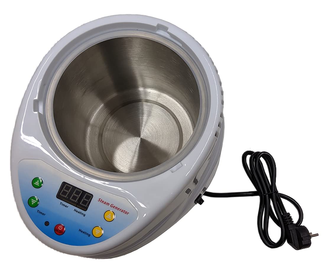 Générateur de vapeur 4 litres 2000 W 9 niveaux de chaleur portable pour sauna vapeur