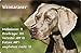 Produktbild +++ WEIMARANER - Metall WARNSCHILD Schild Hundeschild Sign - WEI 05 T4