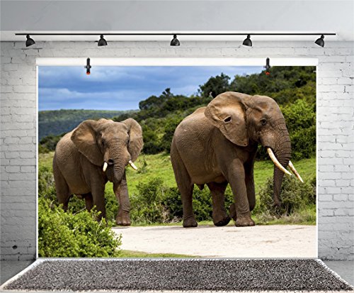 Leyiyi 5x3ft Photography Background Thailand Elephant Backdrop Safari Hunting Happy