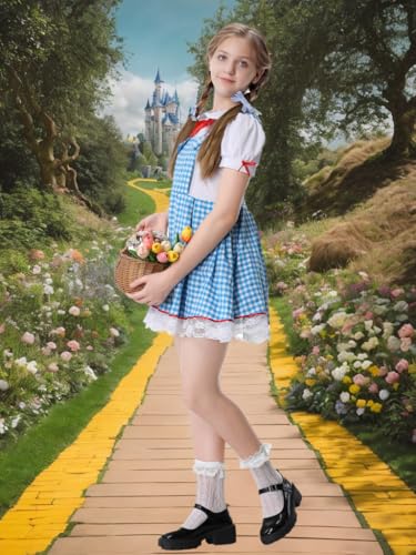 Disfraz Completo Niña Vestido Cuadros Azul Farm Girl miniatura 6