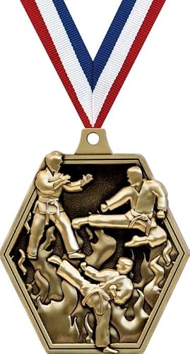 2.25" Martial Arts Medal Awards, Gold Masters Martial Arts Team Trophy Awards Includes Free Neck Ribbon 10 Pack
