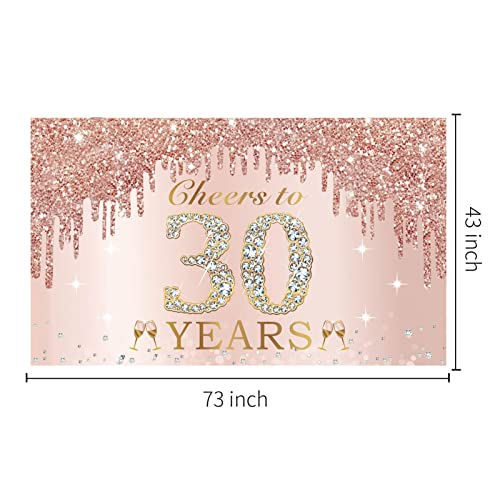 30th Birthday Decorations Cheers to 30 Years Banner, Pink Rose Gold Happy Birthday Backdrop Sign Party Supplies for Women Her, Thirty Birthday Poster Background Photo Booth Props Decor by Excelloon - Image 2