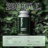 Vitamin D3 20000 I.E. Hochdosiert – 400 Tabletten im Jahresvorrat, Sonnenvitamin für Immunsystem, Vegetarisch, In Deutschland Produziert
