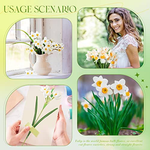 Giegxin 30 Pieces Artificial Daffodils Flowers 16.4 Inches Narcissus Spring Flower Faux Flowers For Home Decor Indoor Decorative Flowers Artificial Flowers For Home Garden Wedding Party (Fresh Style) #TOP3