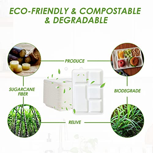 Vplus 500 Pack 5 Compartment Plates, 100% Compostable Paper Plate, 12.5*8.6 Inch Disposable School Lunch Trays, Eco-Friendly Bagasse Plates For School Lunch, Buffet, And Party #TOP4