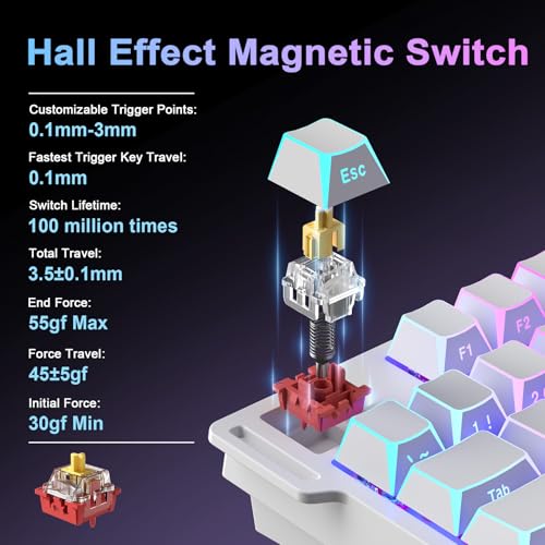 Image of YUNZII RT75 PRO Wireless Gaming Keyboard,Hall Effect Mechanical Rapid Trigger Magnetic Keyboard Bluetooth /USB-C /2.4G 8KHz Polling Rate,RGB Backlit,TGL /SOCD /DKS /MT (White, Red Switch)