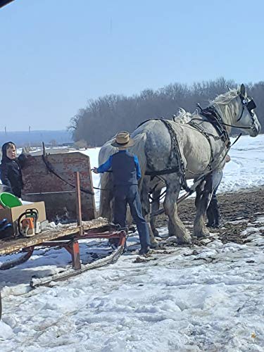 Grandma Z’s, 100% Pure Maple Syrup From New York, Grade A, Amber Color, Rich Taste, All Natural, 32 Fl Oz, 1 Qt #TOP3