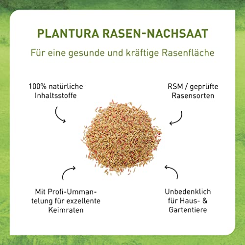 Plantura Rasen-Nachsaat, schnellkeimendes Premium-Saatgut mit Mantelsaat, 2 kg für 100 m² - Image 4