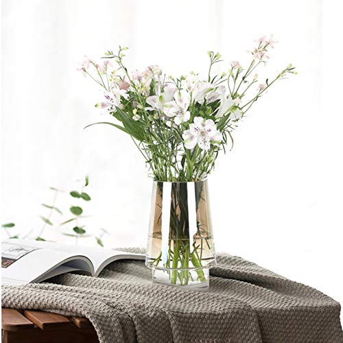 Helderglazen Vaas, Gedroogde Bloemen Tulpenvaas Keuken Café Eettafel Vaasdecoratie, Dikker Onbreekbare Vaas(Color:grijs,Size:9 * 9 * 18.5CM) - Afbeelding 5