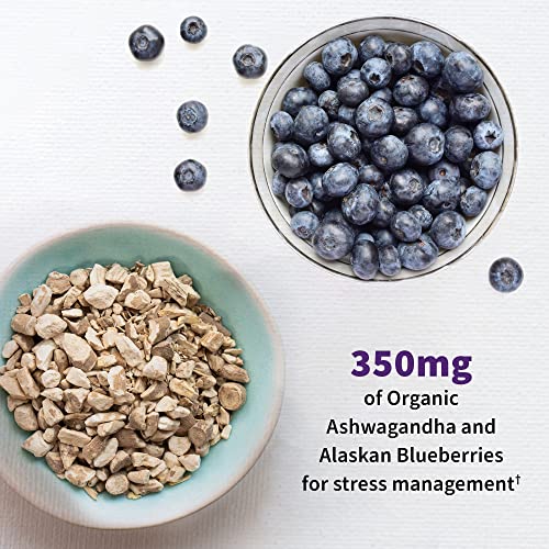 image for Garden of Life Probiotics Mood+ Dr Formulated Acidophilus Probiotic Su