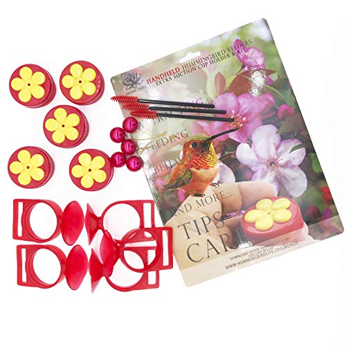 AMIATCH Handheld Hummingbird Feeders Original Design with Perch—Pack of 5