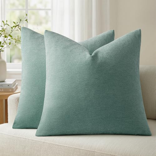 Image of a moment Pack of 2 Decorative Chenille Throw Pillow Covers with Twill Cushion Covers for Sofa Living Room Couch Bed 18x18 Inch Teal