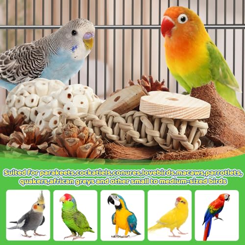 Image of Kyouki Bird Toys Parrot Natural Bird Foraging Box Foot Toys for Parakeets,Cockatiels,Conures,Love Birds,and Other Small to Medium Birds (Large)