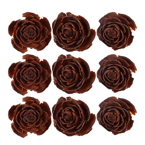 Set de 10 flores secas naturales de piña Toyvian miniatura 1