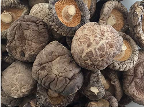 PREMIUM DRIED SHIITAKE CHINESE MUSHROOM (1 LB Bag (4-5 cm))