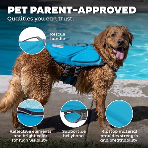image for Outward Hound Dawson Swim Dog Life Jacket, High-Performance Neoprene D