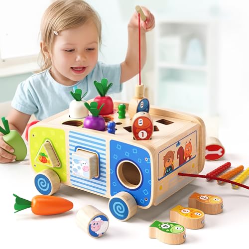 Dailyfunn Montessori Wooden Farm Toys for Babies Toddlers Boys Girls 1-3 Years Old 1st First Birthday Gifts| Fine Motor Skills Developmental Fishing Game Carrots Harvest Game Shape Sorter