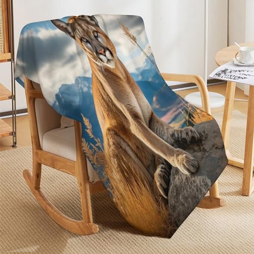 Manta de franela suave para sofá de 180x200 cm unicolor gris 5