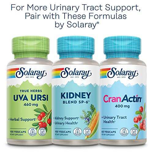 Image of SOLARAY Nettle Leaf 450mg Healthy Kidney, Urinary & Prostate Support Traditional Use for Healthy Allergy Response & Respiratory Wellness 180 CT (Pack of 2)