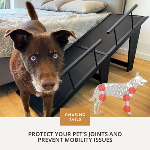25In Dog Ramp for High Beds | Sturdy Ramp for Dogs to Get on Bed with High Rails and 200lbs Capacity - Non-Slip Surface and Adjustable Design, Perfect for Pets Rampa para Perros