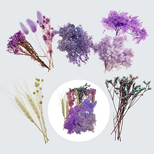 Cayway 2 Packs Natural Dried Flowers, Real Dried Pressed Flowers, Multiple Pressed Dry Flowers with Tweezers - Image 3