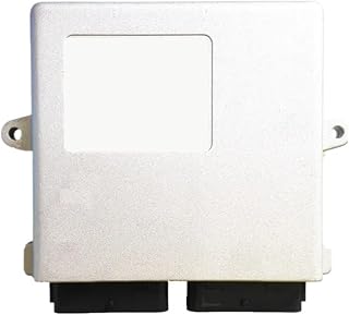 AEB MP48-6/8 Cylinder Alternative Fuel Device Cng Lpg Conversion Kits Compatible with Car Injection Control Unit Multipoint Sequential ECU(8 cylinders)