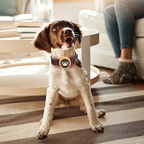 Coleira antilatido recarregável, coleira de adestramento para cães pequenos, médios e grandes, dispo