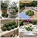 MAISONRINA Moss Balls Decorative 3.5‘’, 8Pcs Large Green Moss Balls Decorative for Bowl fillers,Natural Handmade Ball Vase Fillers for Centerpieces,Garden Weddings Party Home Decor