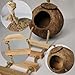 Hanging Bird House with Ladder Natural Coconut Fiber Shell Bird Nest Breeding for Parrot Parakeet Lovebird Finch Canary Coconut Hide Bird Swing Toys for Hamster Bird Cage Accessories Pet Bird Supplies
