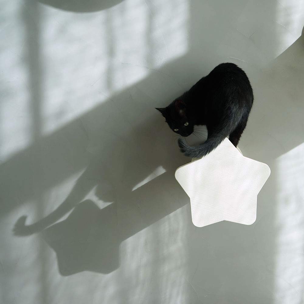 CatS Design Katzen Kletterwand große Katzen stabil- Wandkratzbaum-Wandliege-Wandkratzbrett-Wandpark-Wandstepp- Kratzstamm-Wandelemente- Wand Kratzsäule Stern F9