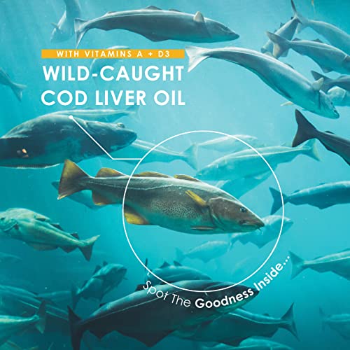 Cod Liver Oil 1000mg – 60 Softgels – Wild-Caught & Cold-Pressed - Source of Omega-3 Fatty Acids – Rich in Vitamins A & D3 – Immune Health + Vision Support – 2 Months Supply by Alpha01 - Image 5