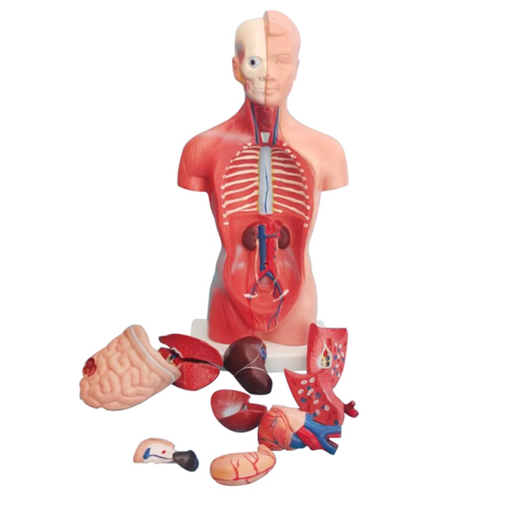 dio Hapi | archeologiavocidalpassato, image size:1020x1020