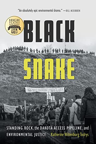 Black Snake view 2