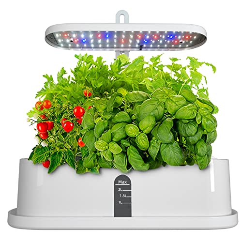 Potager Hydroponique d'Intérieur pour Cuisine - Herbes Fraîches à Portée de Main