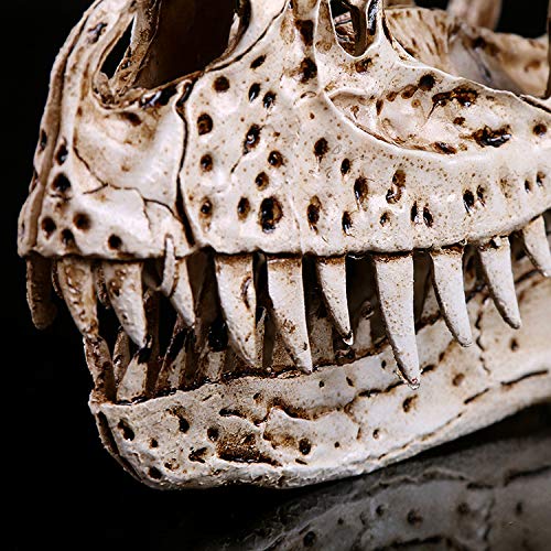 Czaszka Na Modelu Zwierzęcym Czaszka Dinozaura Materiał Żywica Głowa Figurka Model - Kolekcja Do Baru Ozdoba Rzemiosło Dekoracja Ze Stołu 20 * 11 * 8 Cm